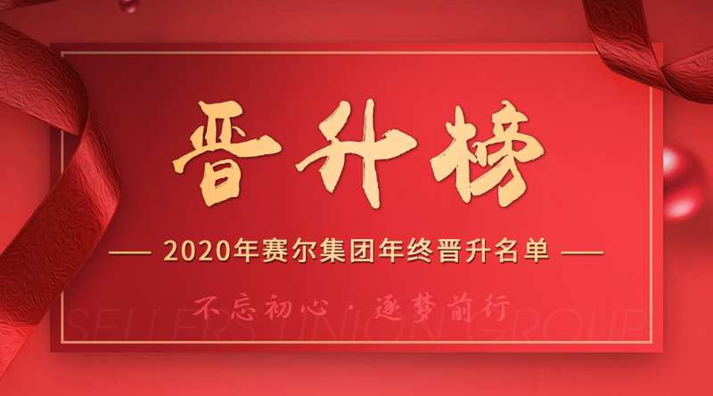 賽爾集團(tuán)2020年終晉升榜